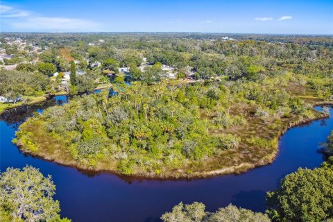 Land in New Port Richey, Florida № 1314366 - photo 18