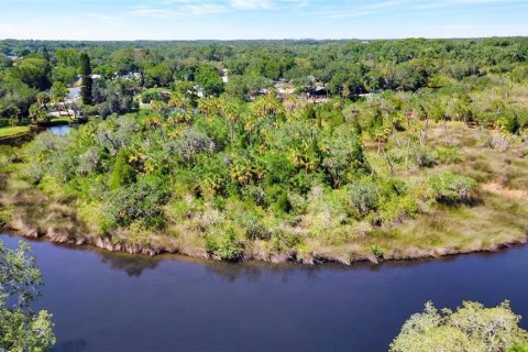 Land in New Port Richey, Florida № 1314366 - photo 4