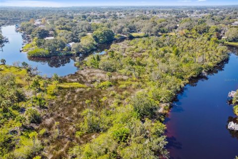 Land in New Port Richey, Florida № 1314366 - photo 15