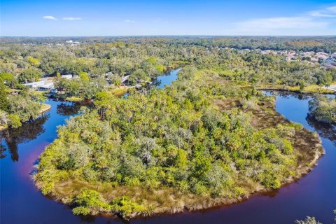 Land in New Port Richey, Florida № 1314366 - photo 16