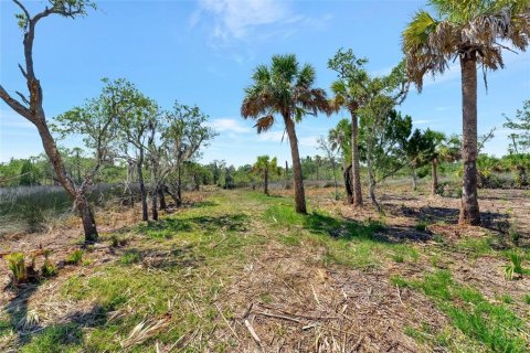 Terreno en venta en New Port Richey, Florida № 1314366 - foto 28