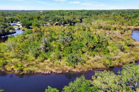 Land in New Port Richey, Florida № 1314366 - photo 19