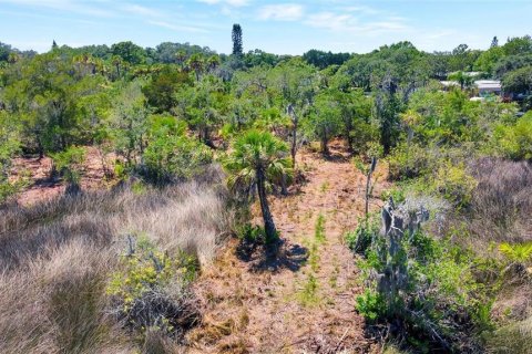 Land in New Port Richey, Florida № 1314366 - photo 30