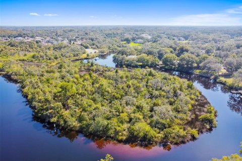 Land in New Port Richey, Florida № 1314366 - photo 12