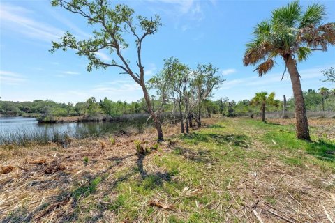 Terreno en venta en New Port Richey, Florida № 1314366 - foto 29