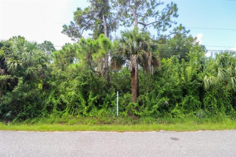 Land in North Port, Florida № 213374 - photo 10
