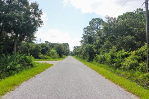 Land in North Port, Florida № 213374 - photo 13