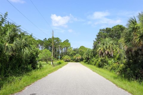 Land in North Port, Florida № 213374 - photo 14