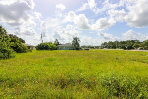 Купить земельный участок в Норт-Порт, Флорида № 213371 - фото 5