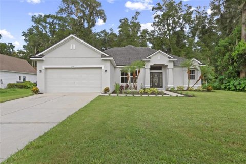 Villa ou maison à vendre à DeLand, Floride: 4 chambres, 223.43 m2 № 1287012 - photo 2