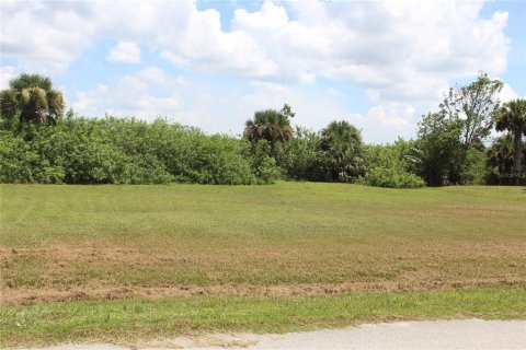 Terreno en venta en Moore Haven, Florida № 1299025 - foto 1