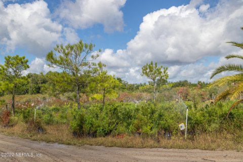 Terreno en venta en Saint Augustine, Florida № 765693 - foto 18