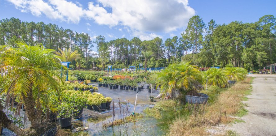 Terrain à Saint Augustine, Floride № 765693