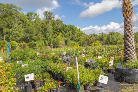 Land in Saint Augustine, Florida № 765693 - photo 29