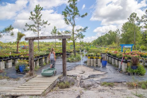 Land in Saint Augustine, Florida № 765693 - photo 10