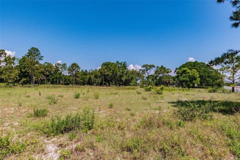 Terrain à vendre à Ocoee, Floride № 1311734 - photo 26