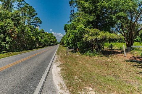 Terreno en venta en Ocoee, Florida № 1311734 - foto 20