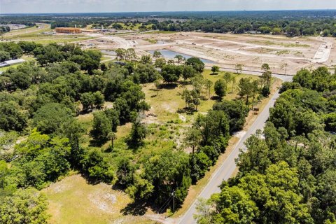 Terreno en venta en Ocoee, Florida № 1311734 - foto 2