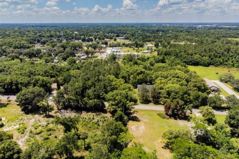 Terreno en venta en Ocoee, Florida № 1311734 - foto 6