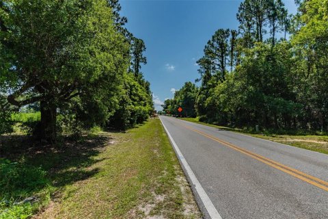 Terreno en venta en Ocoee, Florida № 1311734 - foto 18