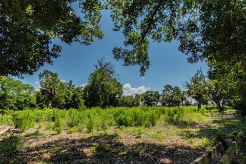 Land in Ocoee, Florida № 1311734 - photo 19