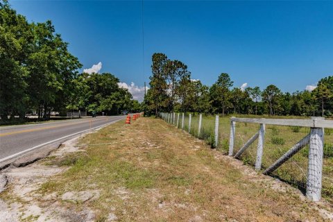 Land in Ocoee, Florida № 1311734 - photo 25