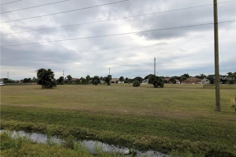 Terrain à vendre à Punta Gorda, Floride № 675291 - photo 8