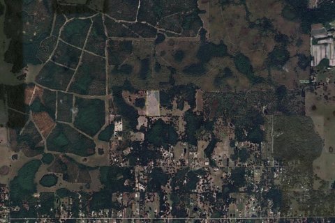 Land in Plant City, Florida № 1365272 - photo 9