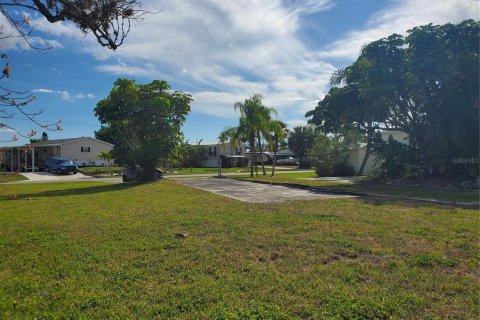 Terrain à vendre à Punta Gorda, Floride № 1014574 - photo 6