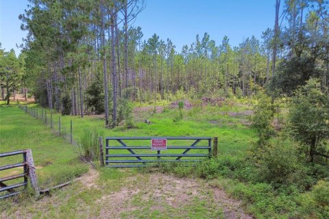 Terreno en venta en Floral City, Florida № 1426764 - foto 6