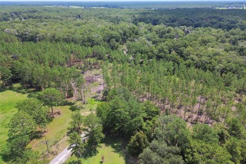 Terreno en venta en Floral City, Florida № 1426764 - foto 21