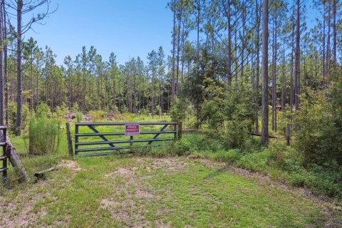 Terreno en venta en Floral City, Florida № 1426764 - foto 4