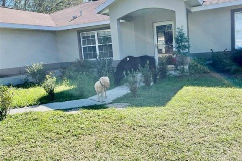 Villa ou maison à vendre à Ocala, Floride: 3 chambres, 166.48 m2 № 1364773 - photo 4