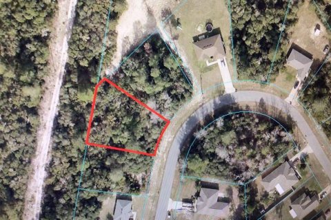 Terreno en venta en Ocala, Florida № 1366239 - foto 2