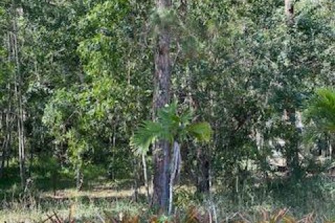 Land in The Acreage, Florida № 998423 - photo 2