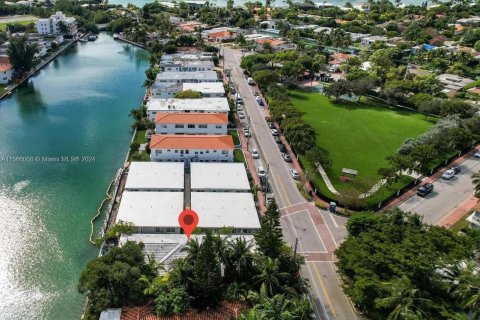 Купить коммерческую недвижимость в Майами-Бич, Флорида 250.84м2, № 1102702 - фото 4