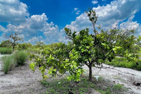 Land in Punta Gorda, Florida № 1263763 - photo 5