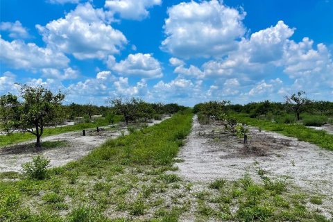 Terrain à vendre à Punta Gorda, Floride № 1263763 - photo 4