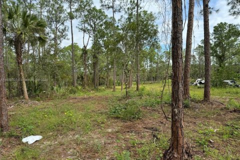 Terreno en venta en Clewiston, Florida № 1399529 - foto 3