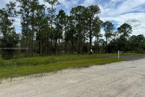 Terreno en venta en Clewiston, Florida № 1399529 - foto 2