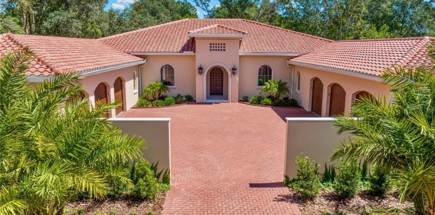 Villa ou maison à Lutz, Floride 4 chambres, 467.11 m2 № 748608
