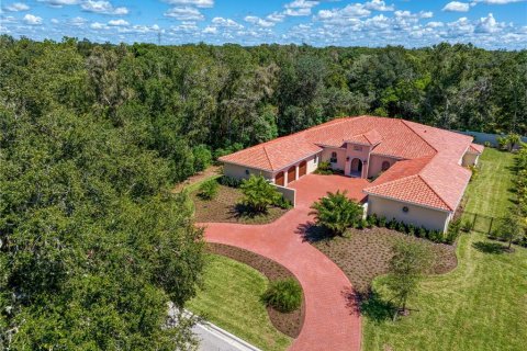 Casa en venta en Lutz, Florida, 4 dormitorios, 467.11 m2 № 748608 - foto 3