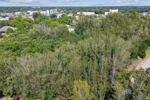 Land in New Port Richey, Florida № 1321790 - photo 7