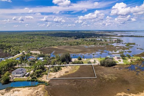 Land in Hernando Beach, Florida № 1321837 - photo 12