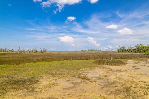 Land in Hernando Beach, Florida № 1321837 - photo 10