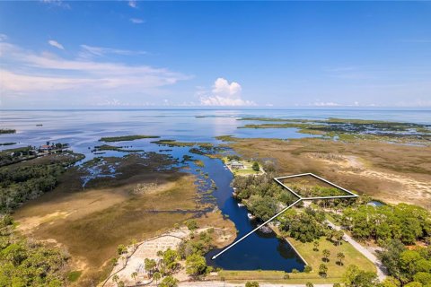 Land in Hernando Beach, Florida № 1321837 - photo 7