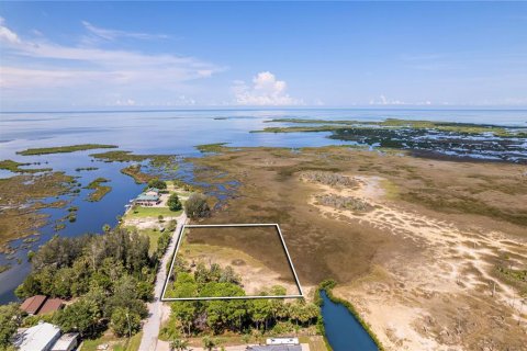 Land in Hernando Beach, Florida № 1321837 - photo 2