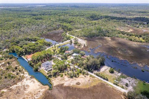 Land in Hernando Beach, Florida № 1321837 - photo 8