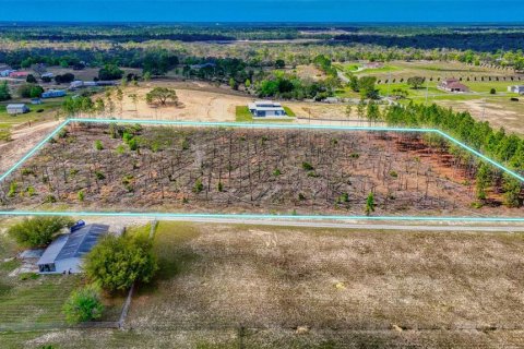 Land in Brooksville, Florida № 1368316 - photo 6