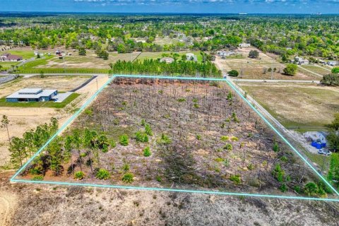 Land in Brooksville, Florida № 1368316 - photo 5